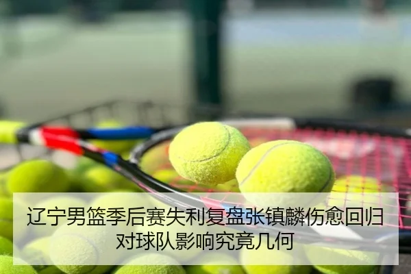 辽宁男篮季后赛失利复盘张镇麟伤愈回归对球队影响究竟几何