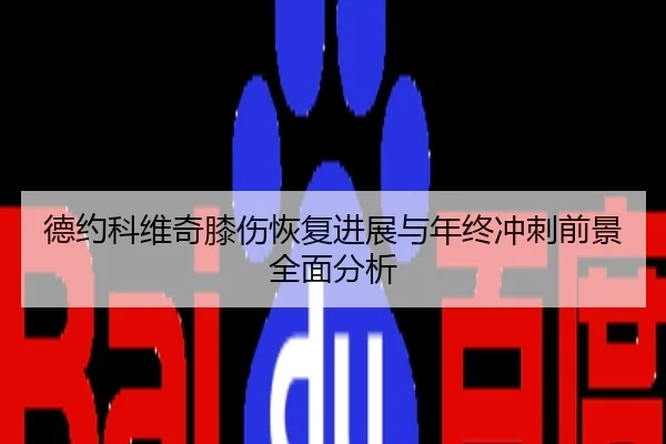 德约科维奇膝伤恢复进展与年终冲刺前景全面分析